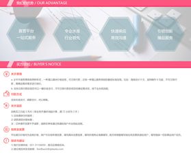 企業網站建設中不可忽視的核心要點 從頁面設計到品牌價值的過渡